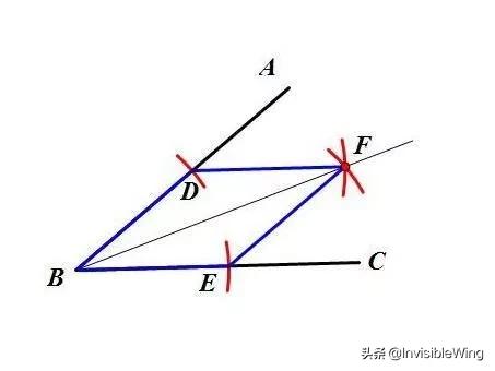 bisector-bisector翻译