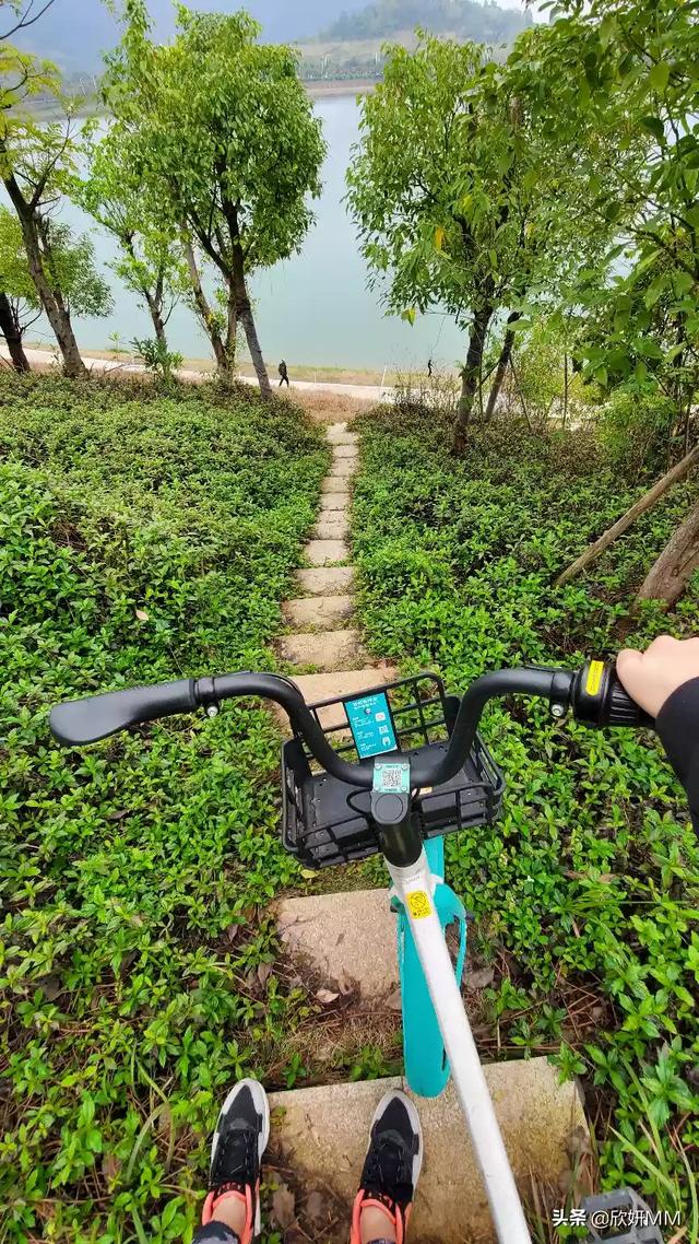 南宁市城市状况怎么样