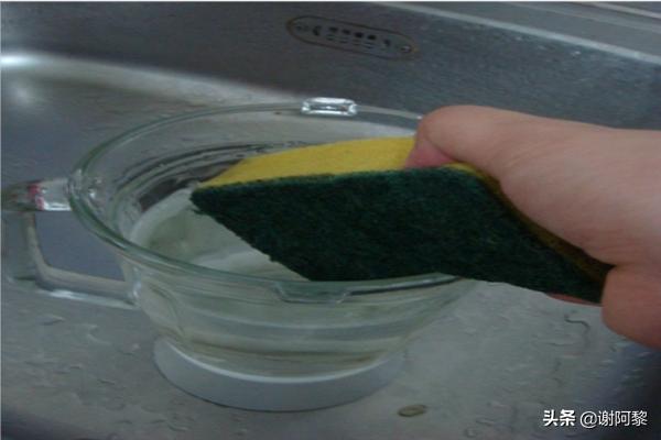 榨汁机都能榨什么？：榨汁机