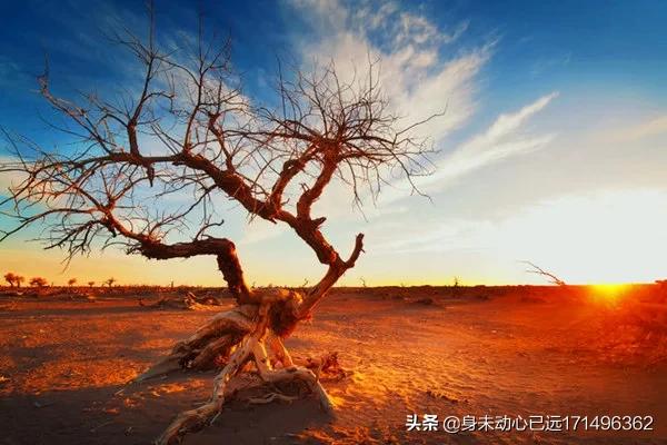 10月1号旅游去哪里最好玩