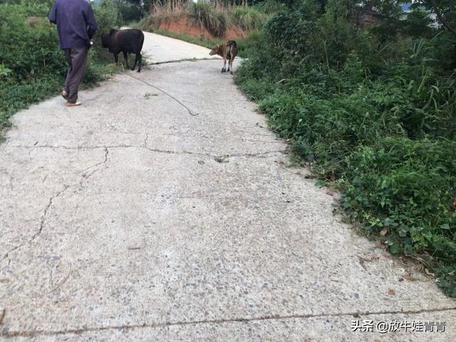 农业养殖业赚钱吗现在，农业养殖业赚钱吗现在怎么样