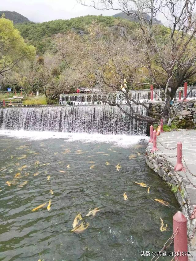 推荐几首关于思乡，想家的英文歌曲或旋律 - 句子网