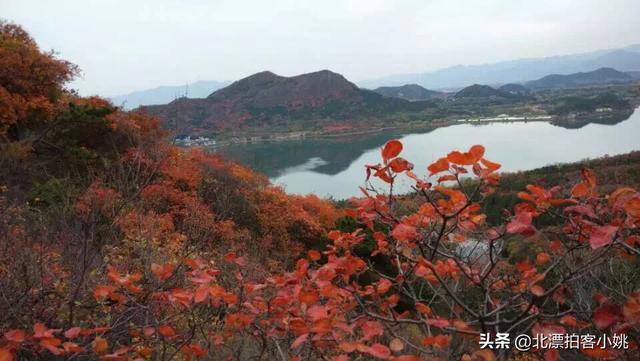 大学生旅游调查的目的和意义,大学生旅游调查的目的和意义是什么