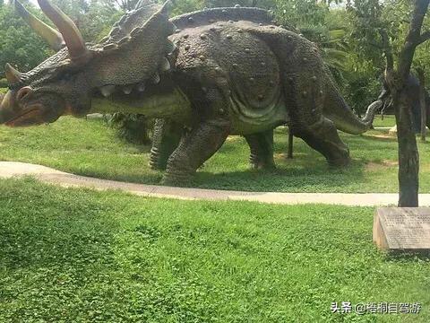 西峡大景点大全旅游景点， 