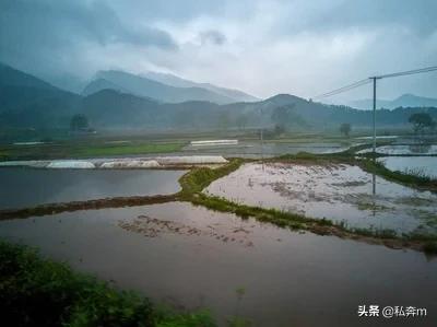 在希望的田野上简谱（求:雷佳演唱一条河曲谱？）