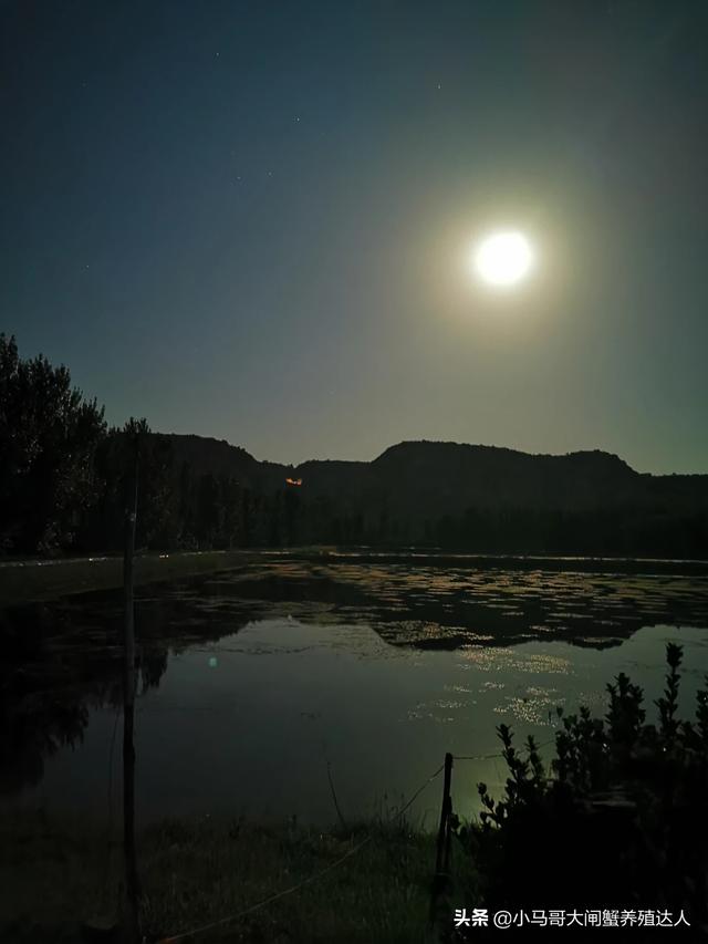 湘潭县今日猪价趋势图-湘潭县今日猪价趋势图最新
