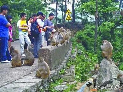 国内旅游消费高的地方 推荐一下