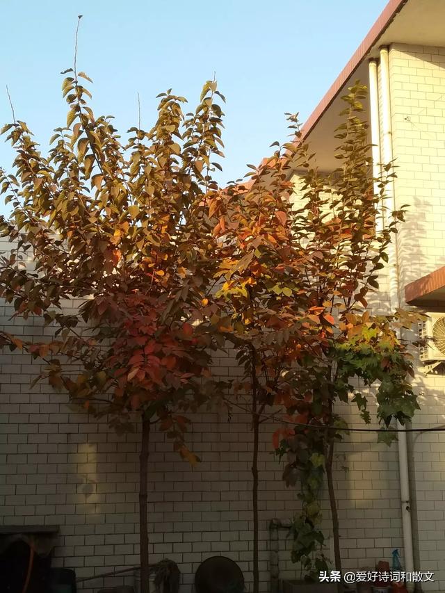 女人的微信名什么最好(图14)