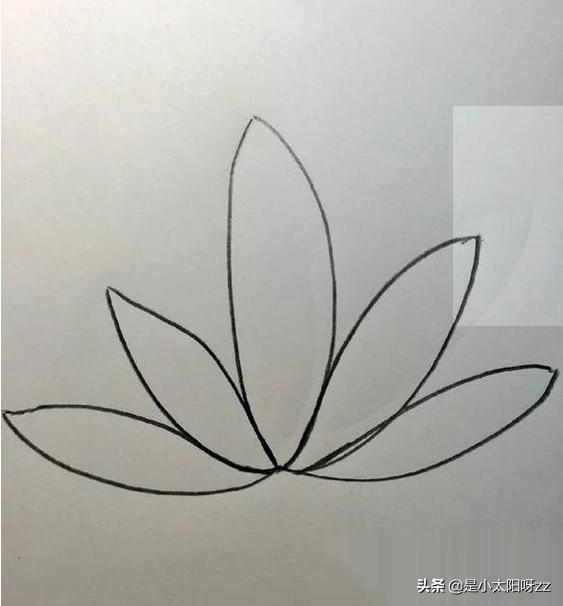 荷花简笔画