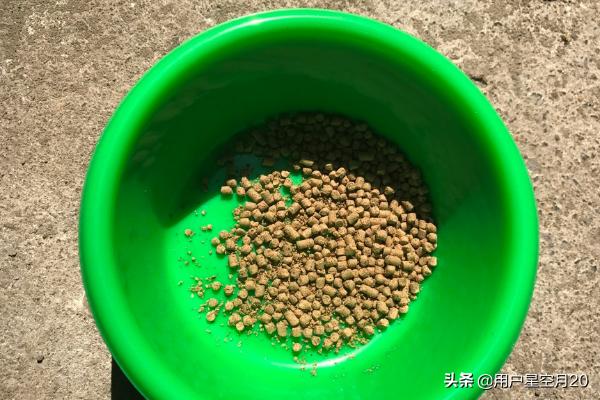 悬挂式捕蝇笼放置技巧,第4张