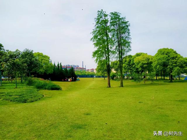 如何低成本海外生活，如何做海外生意?