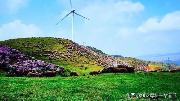 十月旅游攻略必去景点