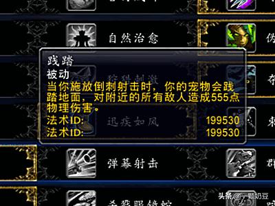 tbc lr天赋 lr天赋加点-第7张图片-随然AIR主题