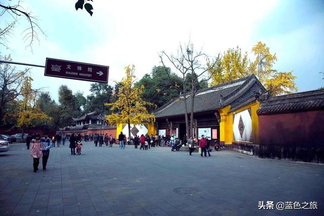 选择海外生活父母怎么办，海外定居父母怎么办