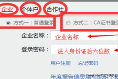 税务申报新趋势：河北地方税务局推出便捷网上申报服务，河北省网上税务局申报
