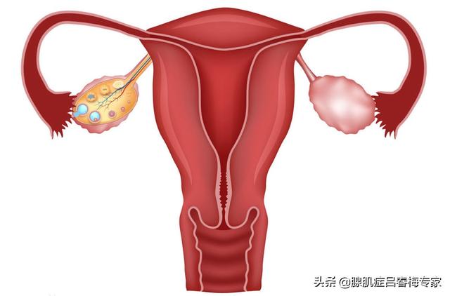 女人来事肚子疼怎么办(图1)