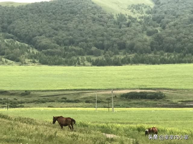 草原旅游穿搭儿童防晒， 草原旅游穿搭儿童防晒图片