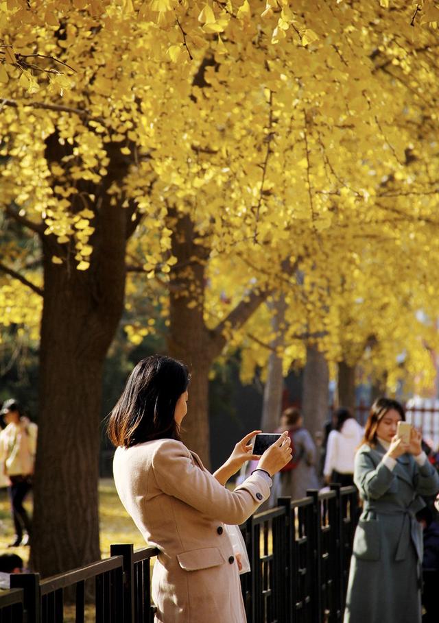 10月去北京怎么玩