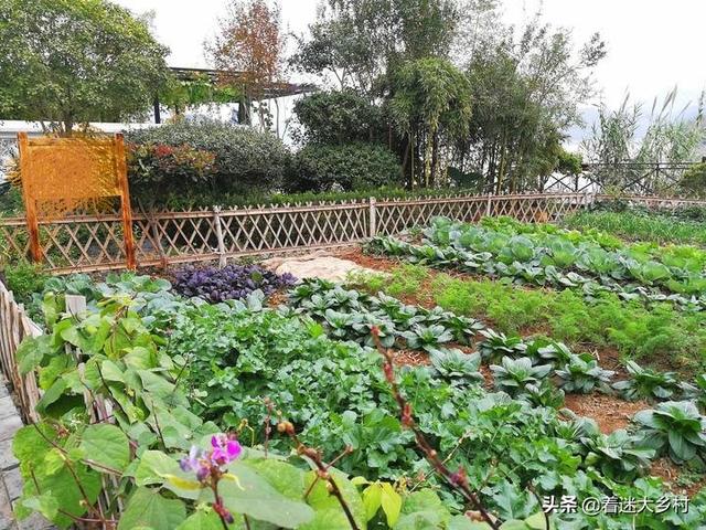 蔬菜种植槽，蔬菜种植槽多少钱一米
