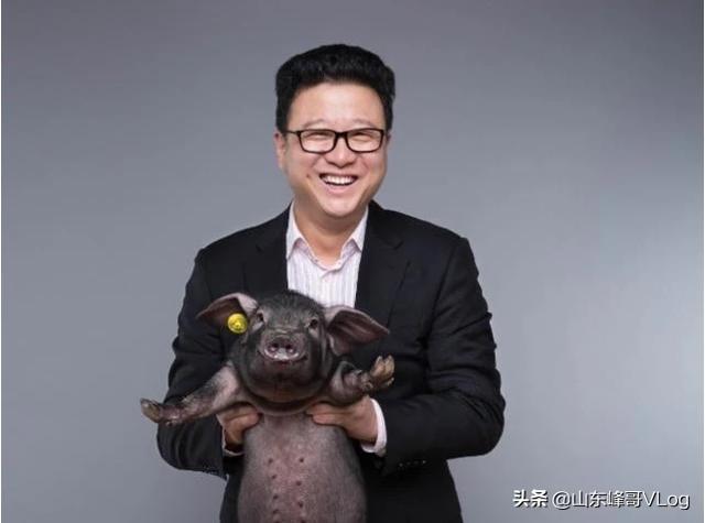 丁磊养猪赚了多少钱？