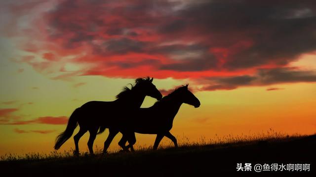 100个惊艳的小说开头_100个惊艳的小说开头和结尾