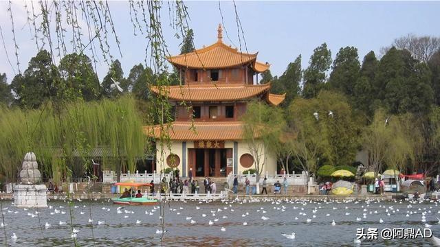 晋中市和顺县纸飞机账号购买服务