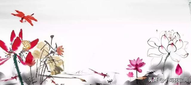 接天莲叶无穷碧映日荷花别样红图片