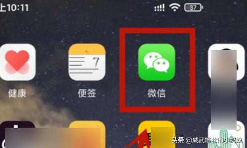 中国人保官网app，中国人保官网APP