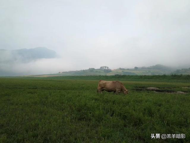 辽宁省景点门票价格大全， 辽宁省景点门票价格大全表
