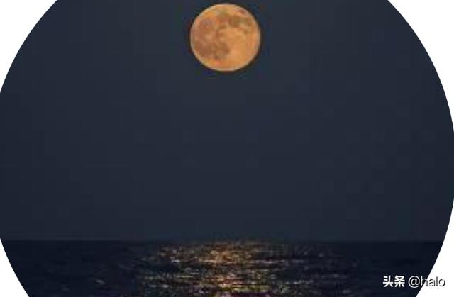 dda6d4ec966045daa3f9a7f955f59e19