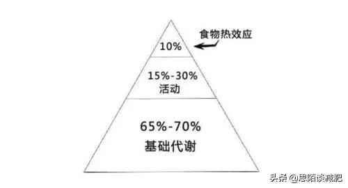女性健身多少天合适减肥（女性健身多久一次最好）(图8)