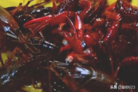 龙虾怎么做-龙虾怎么做才好吃