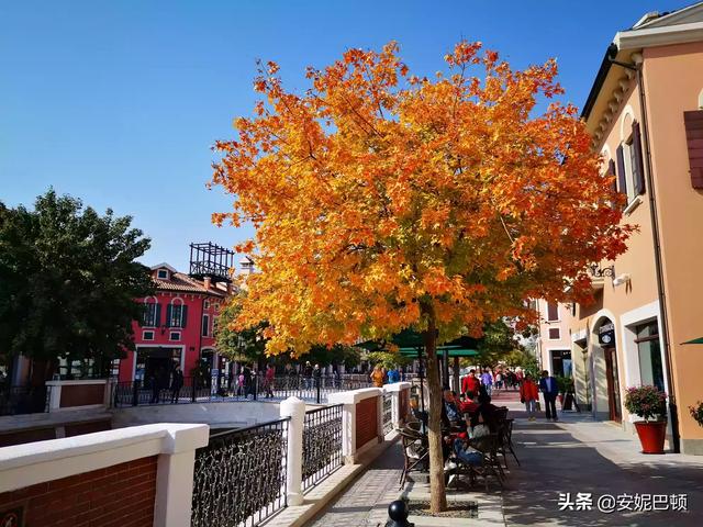 秋天去哪里旅游最好的选择 国内,秋天去哪里旅游最好的选择 国内旅游景点