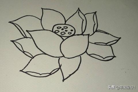 荷花简笔画