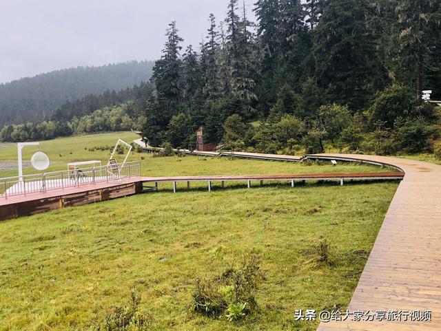 迪庆藏族自治州香格里拉市纸飞机账号购买