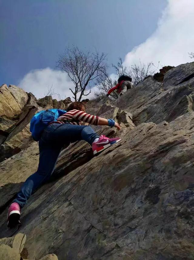 户外活动一日保险，户外活动一日保险多少钱