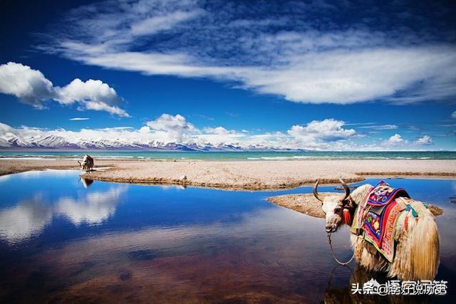 中国古代名人的事迹（中国古代名人的事迹50字）