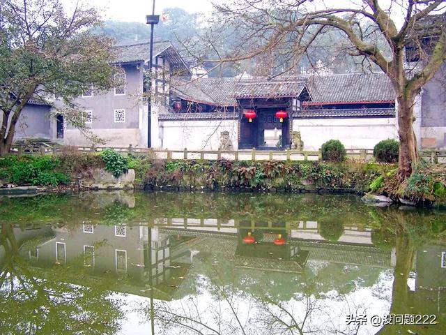 宜宾市活猪价格-宜宾市活猪价格最新行情