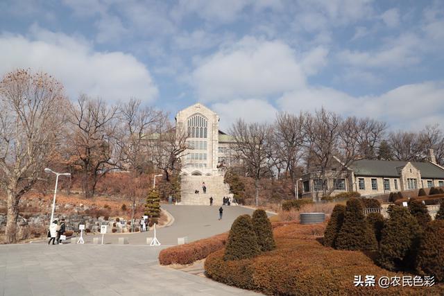 双拥文化长廊建设方案？：高校景观设计大赛展板