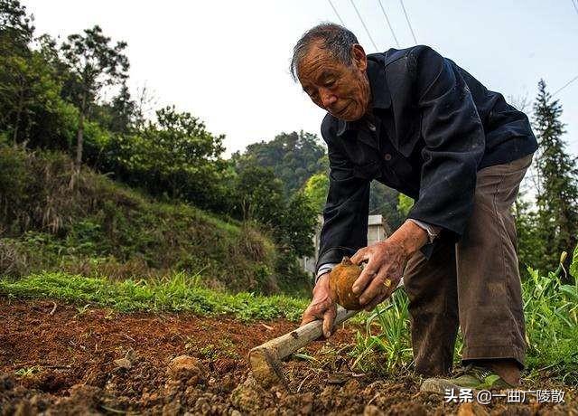 美食街坊 食谱制作图片,美食街坊 食谱制作图片大全