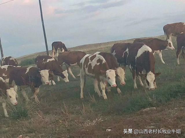 云南丽江市古城区采摘口碑好的农家乐挑选一家最合适的推荐下,丽江环境好的农家乐