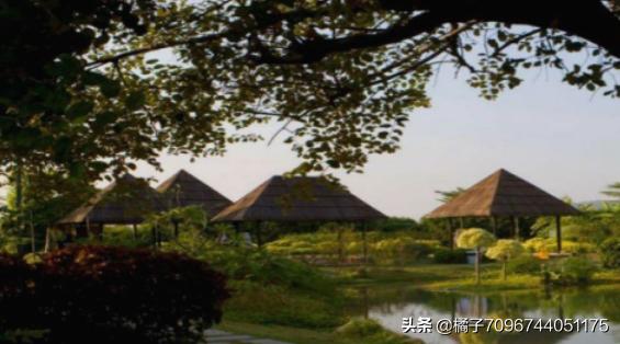 婚庆文案茂名，婚庆文案短句