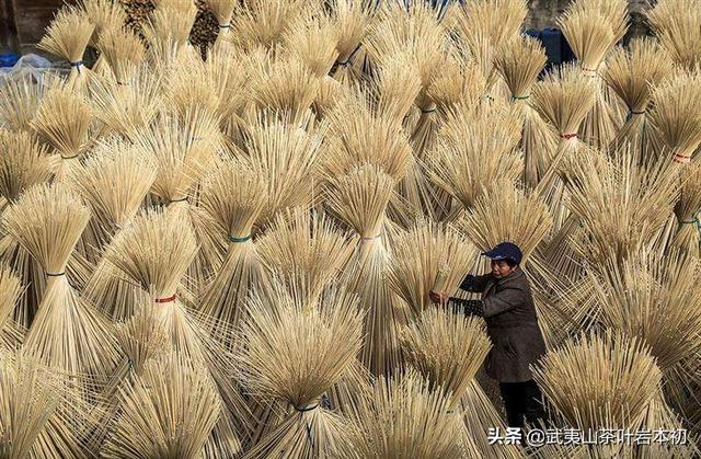 果园种植托管协议怎么写,果园种植托管协议怎么写的