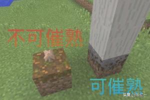 我的世界 蘑菇怎么吃(图2)
