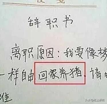 为什么上司的话永远是对的呢