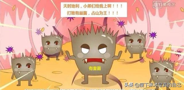 补充医疗保险有望成为企业刚需吗_益生菌对身体有什么好处？