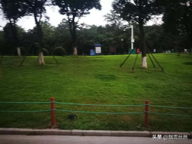 吵架时沉默怎么改善呢(图1)