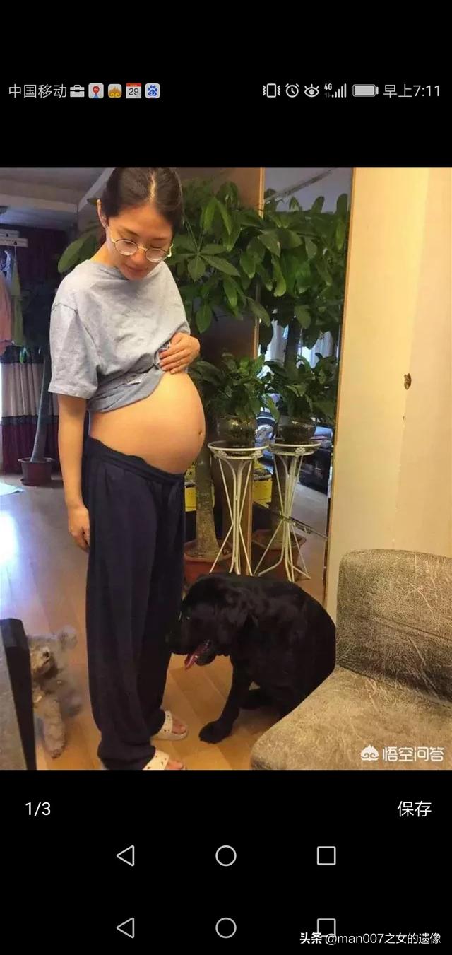 狗鼻子出汗头感觉热，又吐黄水怎么办（男人如果想养小型犬，那种比较适合，我的性格比较感性，其实一开始我不喜欢小型犬，喜欢大中型的，比如德）