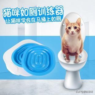 如何教猫咪用坐便器,第2张