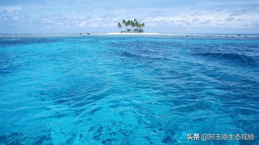 全国婚纱照地点排行榜（婚纱照地点排名）